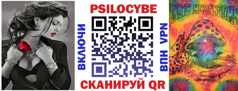 Купить  Благодарный  Псилоцибиновые грибы прущие грибы 